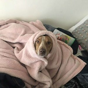 Meet your Posher, Lynn